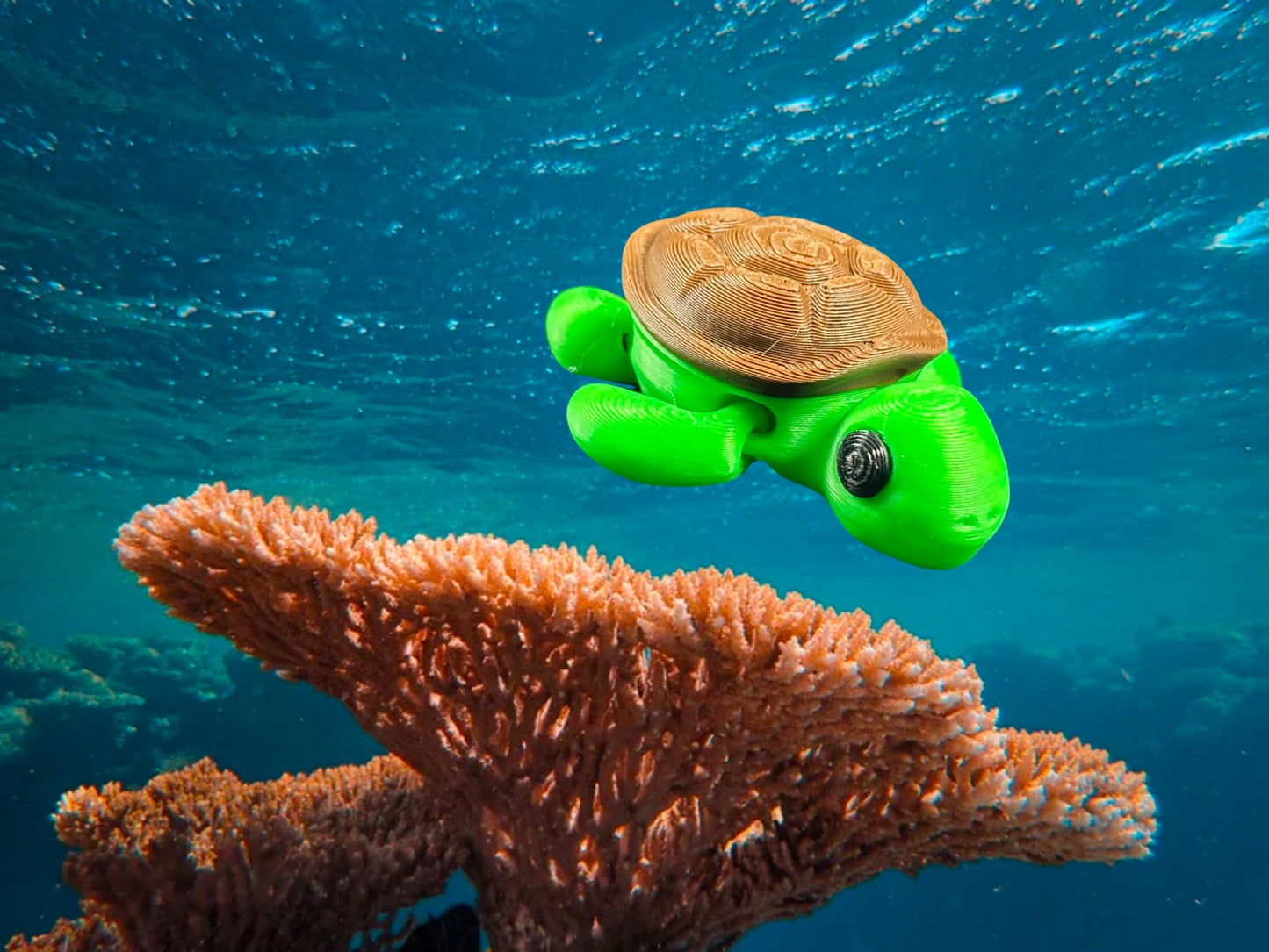 Ocean Buddies Collection | Articulated Fidget Toys (Set of 6)